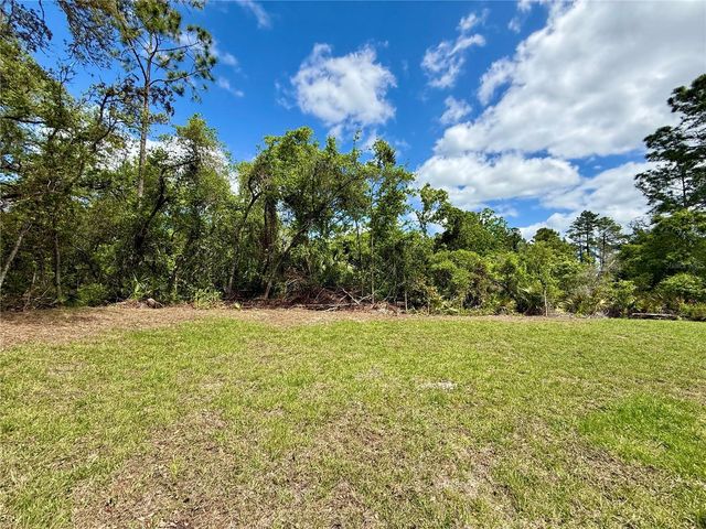 30165 W BLUEBELL AVENUE, Eustis, FL 32736