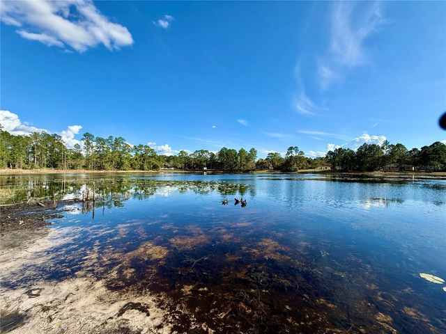 30165 W BLUEBELL AVENUE, Eustis, FL 32736