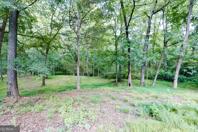 2447 Martin Mill Road, Newnan, GA 30263