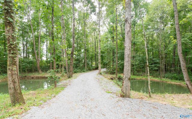 150 County Road 1034, Rainsville, AL 35986