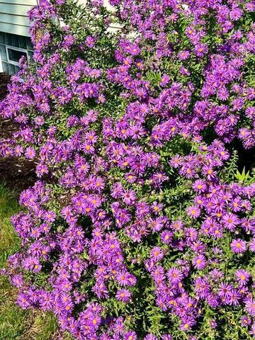 4211 Humboldt Avenue N, Minneapolis, MN 55412