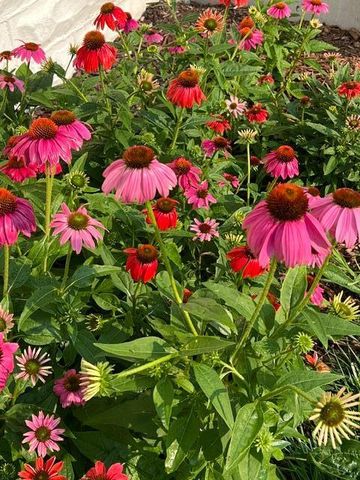 4211 Humboldt Avenue N, Minneapolis, MN 55412