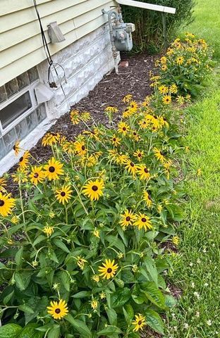 4211 Humboldt Avenue N, Minneapolis, MN 55412