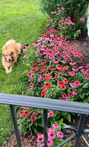 4211 Humboldt Avenue N, Minneapolis, MN 55412