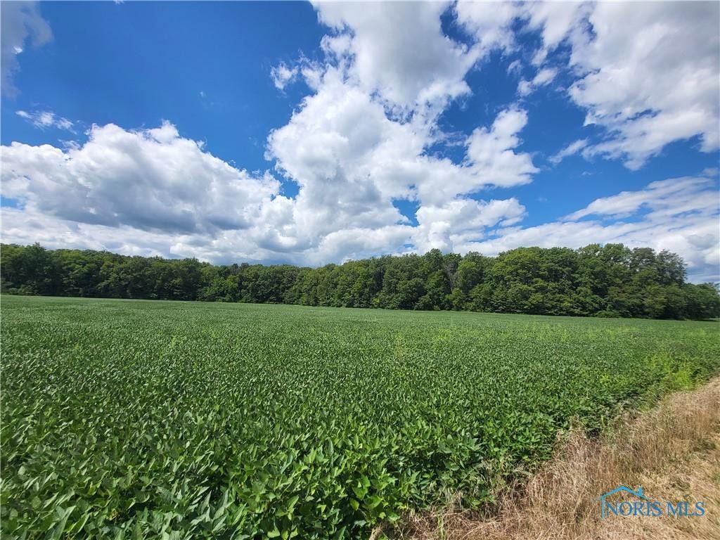 0 Dixie Highway, Cygnet, OH 43413