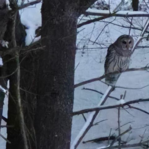 5141 90th Avenue, Lakeview, MI 48850