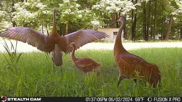 5141 90th Avenue, Lakeview, MI 48850