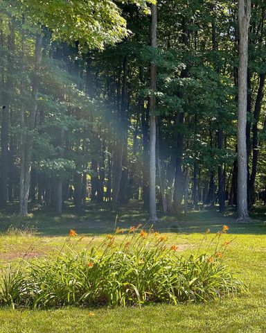 5141 90th Avenue, Lakeview, MI 48850