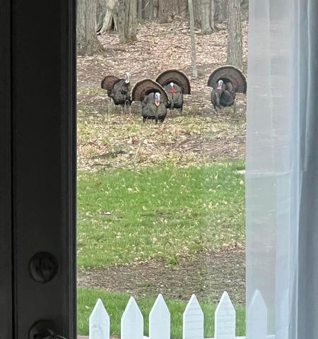 5141 90th Avenue, Lakeview, MI 48850