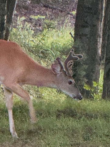 5141 90th Avenue, Lakeview, MI 48850