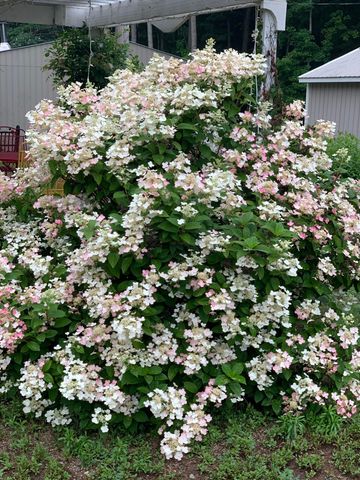 5141 90th Avenue, Lakeview, MI 48850