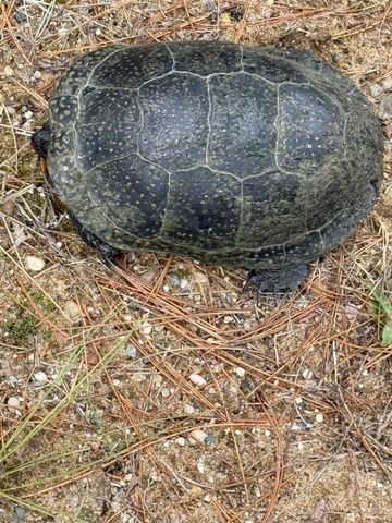 5141 90th Avenue, Lakeview, MI 48850