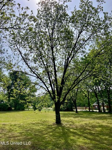8080 Tchulahoma Road, Southaven, MS 38671