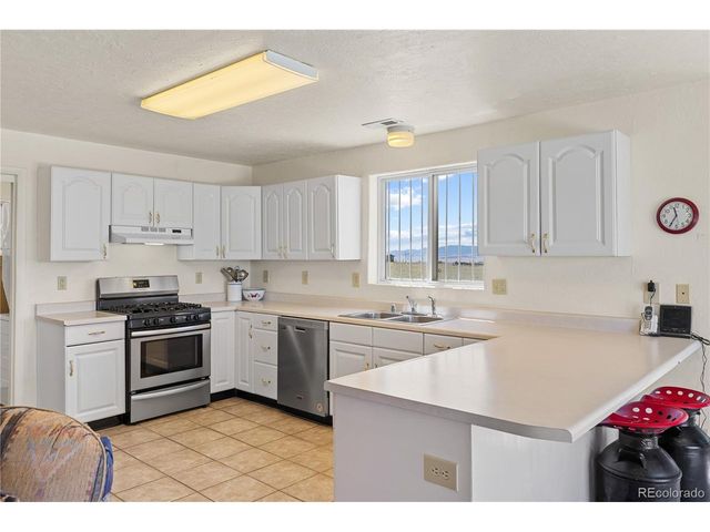 1421 Larimer Rd, Hartsel, CO 80449