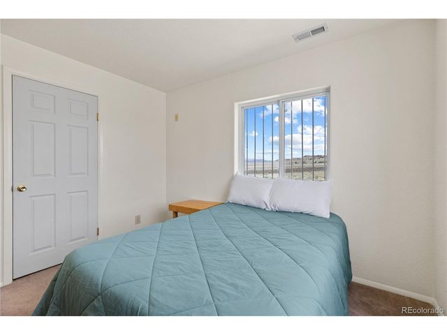 1421 Larimer Rd, Hartsel, CO 80449