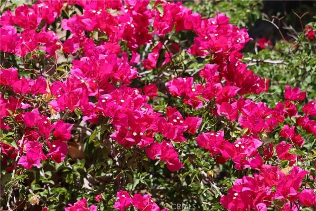 35777 Road 606, Raymond, CA 93653