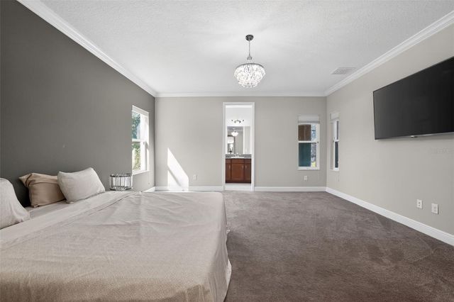 13231 WILDFLOWER MEADOW DRIVE, Riverview, FL 33579