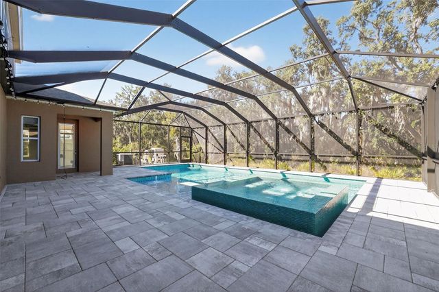 13231 WILDFLOWER MEADOW DRIVE, Riverview, FL 33579