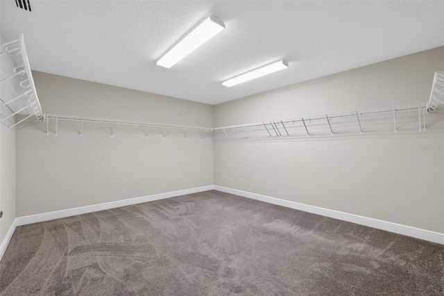 13231 WILDFLOWER MEADOW DRIVE, Riverview, FL 33579