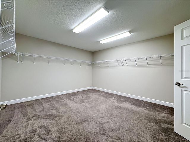 13231 WILDFLOWER MEADOW DRIVE, Riverview, FL 33579