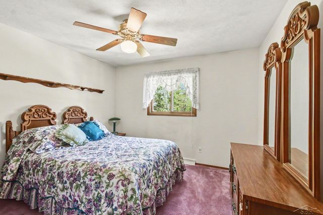 12821 S Basell Drive, Thomas Twp, MI 48626