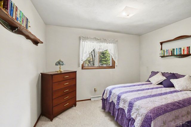 12821 S Basell Drive, Thomas Twp, MI 48626