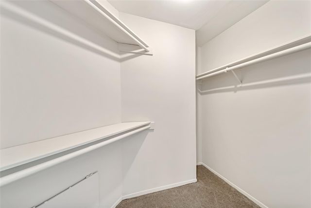 3317 Golden Trails Drive 804, Houston, TX 77345