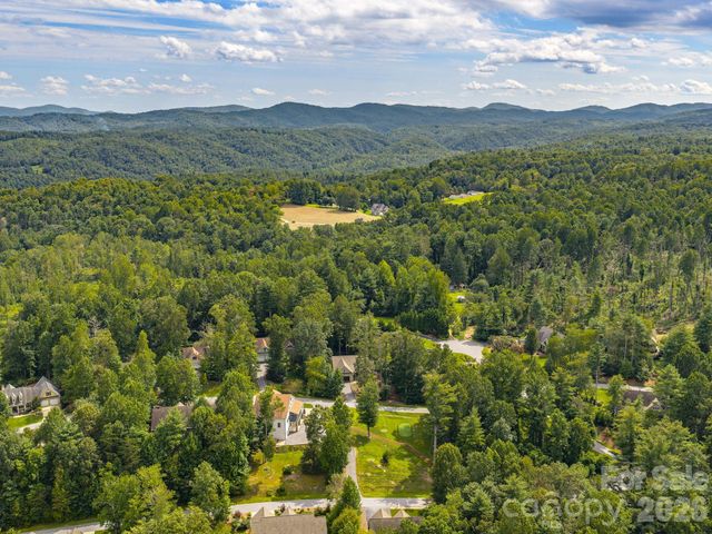 248 Wisdom Cove Road, Flat Rock, NC 28731