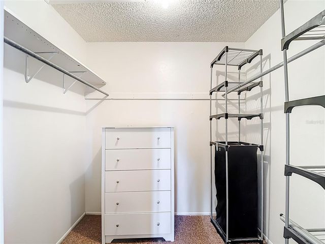 11020 PEPPERTREE LANE, Port Richey, FL 34668