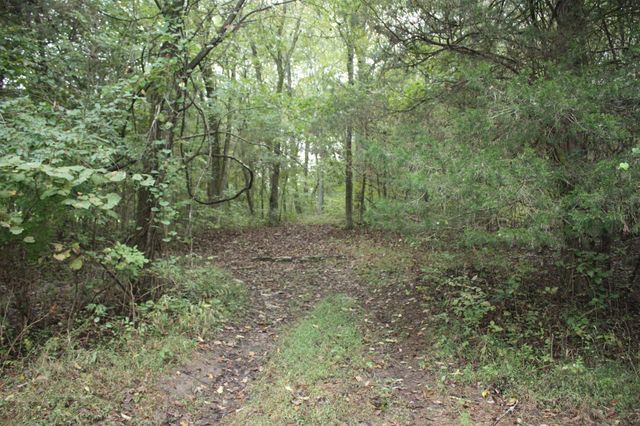 5679 Carters Creek Pike, Thompsons Station, TN 37179
