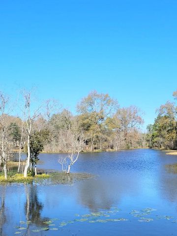 11827 Water Oak Drive, Magnolia, TX 77354