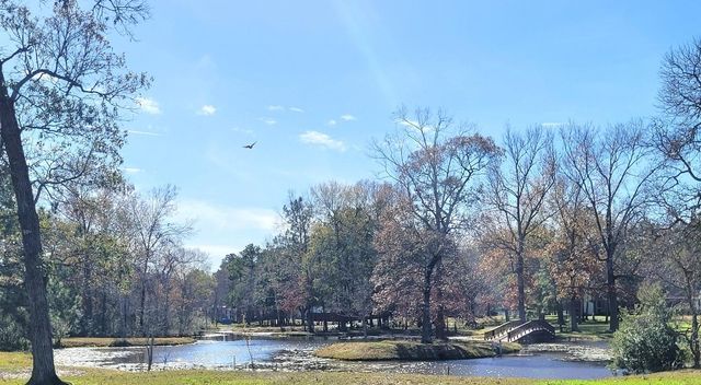 11827 Water Oak Drive, Magnolia, TX 77354