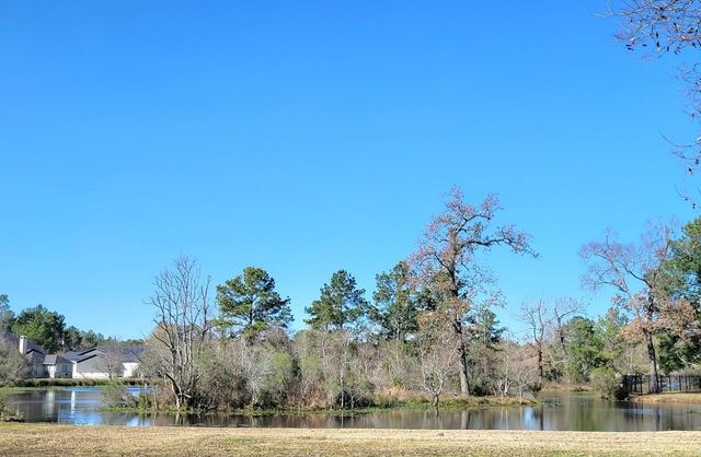 11827 Water Oak Drive, Magnolia, TX 77354