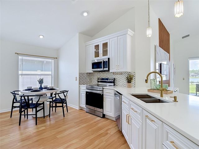 2818 MUSKY MINT DRIVE, Land O Lakes, FL 34638