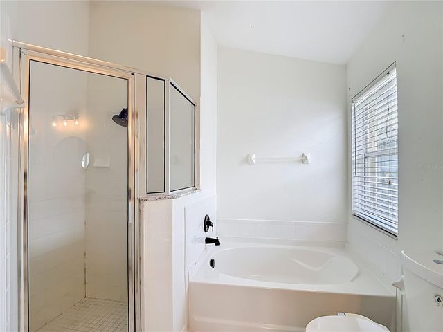 2818 MUSKY MINT DRIVE, Land O Lakes, FL 34638