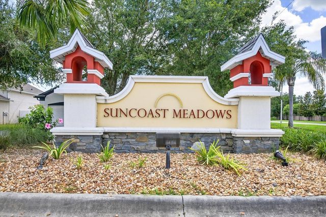 2818 MUSKY MINT DRIVE, Land O Lakes, FL 34638