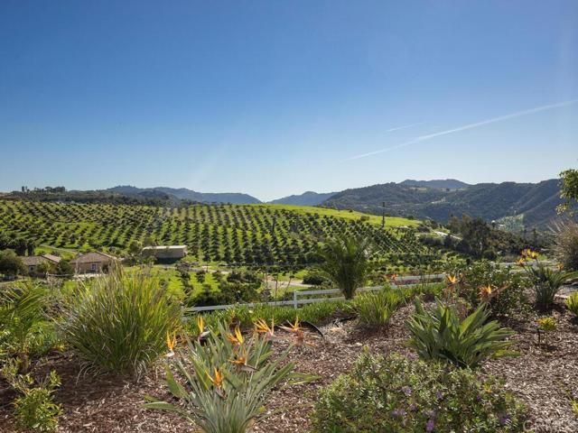 31702 Nira Lane, Bonsall, CA 92003