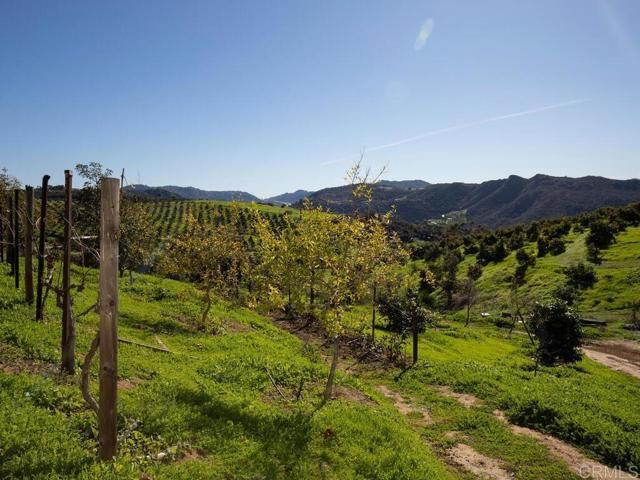 31702 Nira Lane, Bonsall, CA 92003