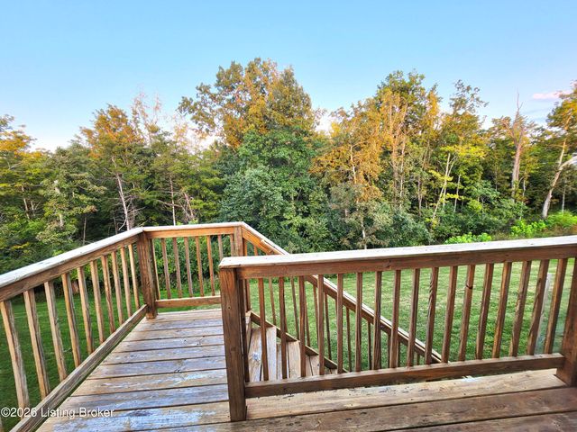 17505 Shakes Creek Dr, Fisherville, KY 40023