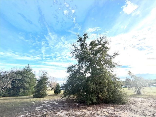 756 E BISMARK STREET, Hernando, FL 34442