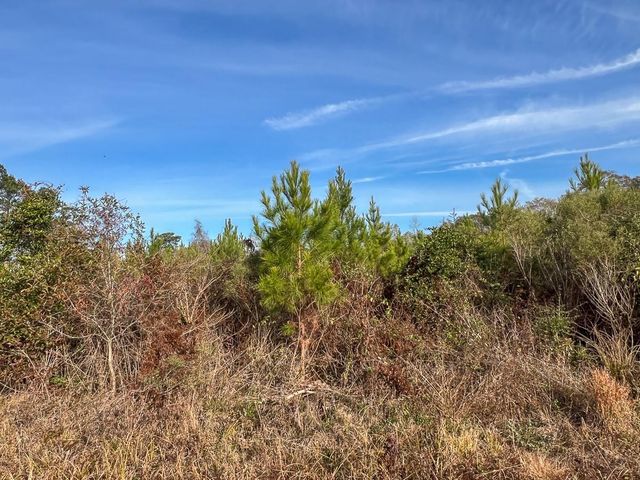 T-6 Tall Cotton Road, Saratoga, TX 77585