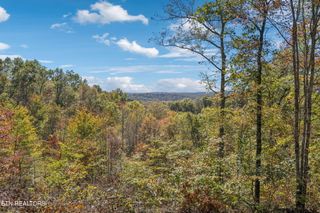 Sheep Ranch Rd, Robbins, TN 37852