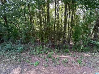4976 MOUNTAIN ROAD, Bessemer, AL 35023