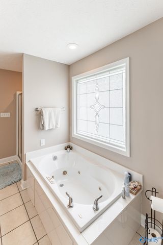 16235 Kyle Moran Drive, Athens, AL 35614