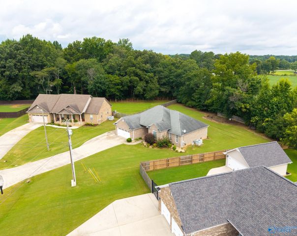 16235 Kyle Moran Drive, Athens, AL 35614