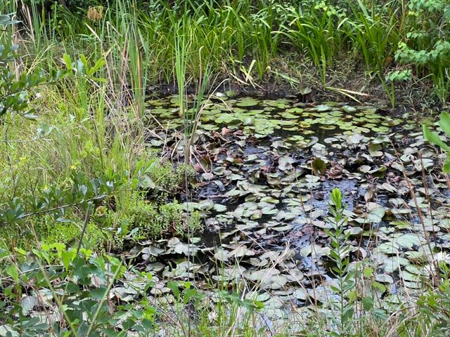 6807 John Pitts Road, Panama City, FL 32404