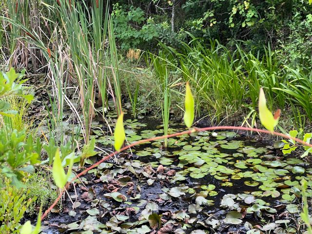 6807 John Pitts Road, Panama City, FL 32404