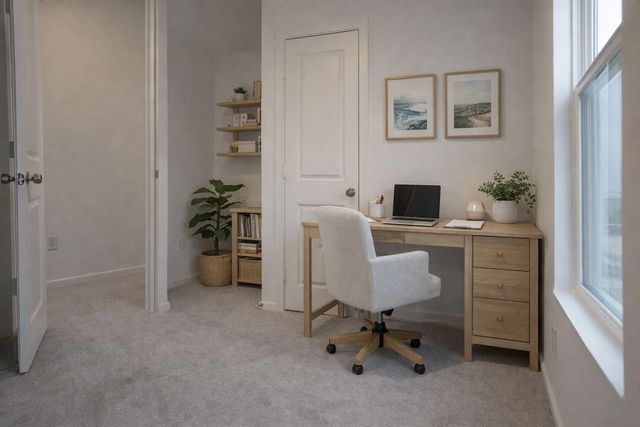 21301 Carosella Drive, New Caney, TX 77357