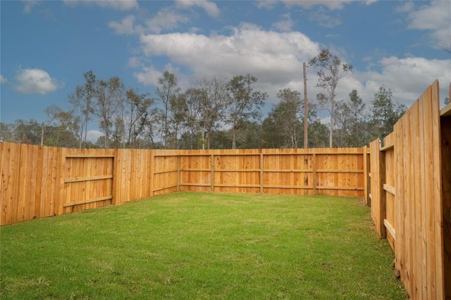 21301 Carosella Drive, New Caney, TX 77357