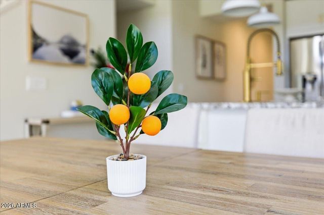 2435 E Saint Catherine Avenue, Phoenix, AZ 85042